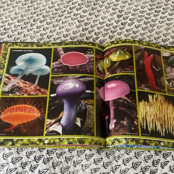 •The secret language of color book - Picture 3 of 5